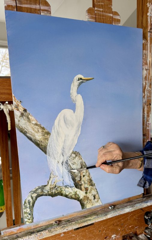 Ellen Rice works on the fine feathering and shading of a great white egret in her oil painting titled “All Creatures Great and Small.” It will debut during her Christmas Open House festivities.